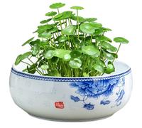 Obelunrp Macetero Lotus Bowl, macetero de cerámica hidropónica con Soporte de Madera, Lirio de Agua esmaltado, Cactus, Cuenco de Loto para Plantar y almacenar en Interiores, Adornos al Aire Libre