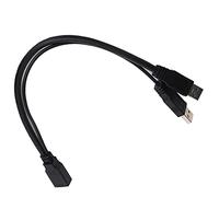 Obetuens USB 3.0 Hembra a Doble USB Macho, Convertidor de Cable de Extensión de 30 cm, Alimentación Auxiliar, Adaptador de Cable de Extensión de Datos de Alimentación, Divisor y Cable