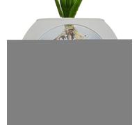 Oblate Globe Propagation Station - Clear Fish Tanks Wall Mount | Transparent Wall Flower Pots | Silicone Walls Vases for Plants Indoor, Transparent Orchid Pots with Drainage Holes