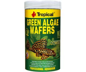 Obleas de algas verdes tropicales 100ml