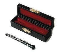 Oboe en estuche