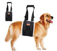 Obotsnoi Correa ajustable para caminar para mascotas, tela Oxford resistente, diseño cómodo de mango, portátil, para ejercicio diario, accesorio para pasear al perro