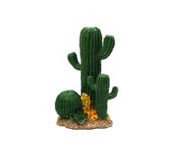 Obotsnoi Estatua de resina modelo de cactus para acuario y terrario, paisajes naturales, peceras, hábitats, decoración, accesorios de acuario