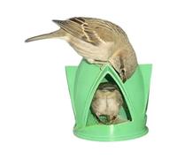 Obotsnoi Innovador comedero para pájaros impreso en 3D, diseño abierto, para colgar al aire libre, decoración de jardín, 5.5 x 5 pulgadas, comedero para pájaros para niños