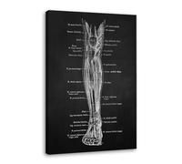 Obra de arte de anatomía humana, imagen médica de esqueleto muscular, póster vintage, lienzo nórdico, pintura educativa, decoración de pared (SKU5,12 x 18 pulgadas = 30 x 45 cm), enmarcado (lienzo