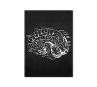Obra de arte de anatomía humana, imagen médica de esqueleto muscular, póster vintage, lienzo nórdico, pintura educativa, decoración de pared (SKU9,30.5 x 40.6 cm, sin marco)