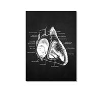 Obra de arte de anatomía humana, imagen médica de esqueleto muscular, póster vintage, lienzo nórdico, pintura educativa, decoración de pared (SKU13,12 x 18 pulgadas = (30 x 45 cm), sin marco)