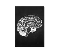 Obra de arte de anatomía humana, imagen médica de esqueleto muscular, póster vintage, lienzo nórdico, pintura educativa, decoración de pared (SKU10,12 x 18 pulgadas = (30 x 45 cm), sin marco)