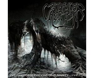 Observations of Humanity