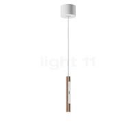 Occhio Coro Sospeso Var Up Zoom, lámpara de suspensión LED, cabeza dorado mate/florón blanco mate - 2.200-3.500 K - x-tra warm - Occhio Air
