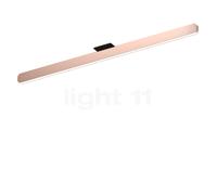 Occhio Mito Alto 100 Up Narrow, lámpara de techo LED, cabezal dorado mate/cubierta negro mate - 2.700-4.000 K - Occhio Air