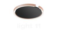 Occhio Mito Soffitto 40 Flat Wide, lámpara de techo/pared empotrable LED, cabeza dorado mate/cubierta negro mate - DALI