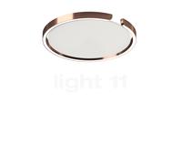 Occhio Mito Soffitto 40 Up Lusso Narrow, lámpara de techo/pared LED, cabeza oro rosa/cubierta cuero blanco - 2.700-4.000 K