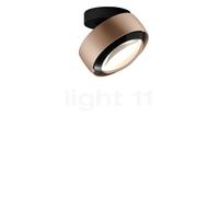 Occhio Più Alto Volt S40, lámpara de techo LED, cabeza dorado mate/florón negro mate/cubierta negro - 2.700 K