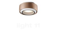 Occhio Più R Alto V Volt C100, lámpara de techo LED, cabeza dorado mate/florón blanco mate/cubierta blanco mate - 3.000 K