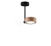 Occhio Sento Faro 20 Up E, lámpara de techo LED, cabeza dorado mate/cuerpo negro mate/florón negro mate - 2.700 K