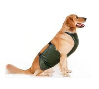 Occupiedpet Banda para el vientre para perro, protector de pecho grande con protección contra el agua y diseño transpirable, cubierta de poliéster para comodidad estacional, talla única para la