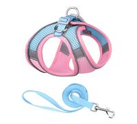 Occupiedpet Dog Harness Leash Set, Reflective Breathable Mesh Pet Harness for Walking, Adjustable Safety Vest (S)