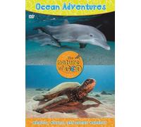 Ocean Adventures, Volume 1: Whales, Waves, and Ocean Wonders [USA] [DVD]