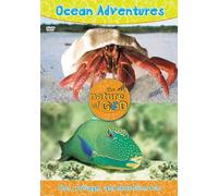 Ocean Adventures, Volume 2: Fins, Foliage, and Shoreline Fun [USA] [DVD]