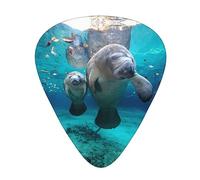 Ocean Animal Manatee - Paquete de 12 pastillas de guitarra adecuadas para tocar guitarras acústicas, guitarras eléctricas, etc.