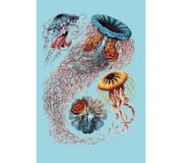 Ocean Creature (Color Image) Writing Notebook