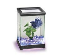 Ocean Free AT619A Kit Betta Space Led, Negro