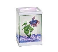 Ocean Free AT619B Kit Betta Space Led, Blanco, 4,95 litros