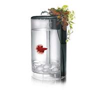 Ocean Free Kit Betta Flora LED 2L, Acuario Híbrido con Sistema de Hidroponía, Bettera con Luz LED, Divisor para Dos Peces y Piedras Decorativas Incluidas, 15 x 15 x 25 cm, Negro