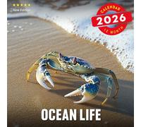Ocean Life Calendar 2026: A year of diverse marine wonders