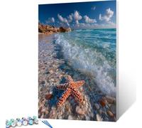 OcéAno Pintar por Numeros Adultos, Cuadros para Pintar por Numeros Estrella De Mar, DIY Kit Manualidades Adultos con 3 Pinceles, Paint by Numbers Adult para Decoracion Hogar Regalo 40x50cm S-3441