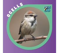 Ocells: Espècies, cura i adopció per a infants, guia il·lustrada en català (Focus Lab - Col·lecció A: Animals)