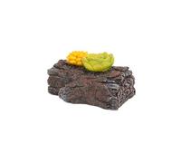 Ocultar una llave exterior, piedra hueca roca tortuga piedra con compartimento secreto para ocultar llaves