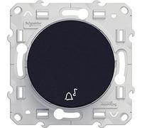 Odace - Interruptor de 10 A, con cierre
