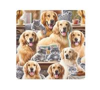 ODAWA Funda protectora para cámara, Golden Retrievers de gatos grises, tela autoadhesiva, 35 x 35 cm, antiarañazos, bolsa de almacenamiento para equipo