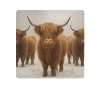 ODAWA Tela autoadhesiva para lente antiarañazos para cámara, color azul y negro, paño autoadhesivo mágico para cámara, lente, laptop, Bonitas vacas, 17.7x17.7in, Bonitas vacas