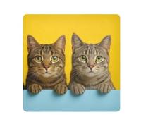 ODAWA Tela autoadhesiva para lente antiarañazos para cámara, color azul y negro, paño autoadhesivo mágico para cámara, lente, laptop, Lindos gatos, 17.7x17.7in, Lindos gatos