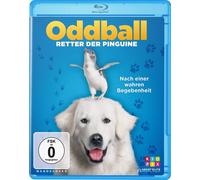 Oddball - Retter der Pinguine (Blu-ray)