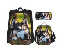 OdDdot Juego de mochila escolar, mochila de viaje, mochila ligera, con bolsa de almuerzo, estuche para lápices, impresión italiana-toscana, Patrón de perro husky, Talla única, Juego de mochila escolar