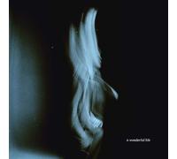 Odell,Tom - A Wonderful Life (Lp) [Vinilo]