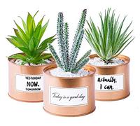 Odezza Plantas artificiales en maceta, 10 x 16 cm, decoración suculentas, juego de 3 unidades, color oro rosado, plantas suculentas pequeñas en maceta, cactus, pequeñas plantas artificiales en maceta