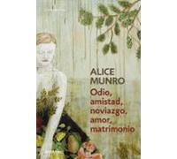 Odio Amistad Noviazgo Amor Matrimonio
