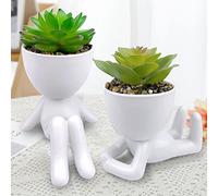ODIWEN 2Pcs Plantas Suculentas Artificiales, Planta Artificial Decorativa, Pequeñas Plantas Artificiales, Plantas Decoración Suculentas, Mini Plantas Falsas de Plástico, Plantas Artificiales Pequeñas