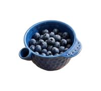 Odor-Free Berry Wash Bowl Raised Center Large Capacity with Drainage