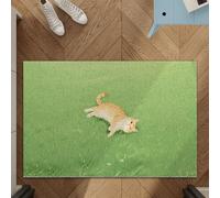 Odot Felpudo Entrada Casa, Alfombrilla de Lufa de PVC, Gato de Pastizales Felpudo Exterior Suciedad, Alfombra Antideslizante Lavable, Alfombra Entrada para Pasillo, Cocina, Balcón (Verde 1,40x60cm)