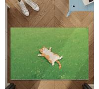Odot Felpudo Entrada Casa, Alfombrilla de Lufa de PVC, Gato de Pastizales Felpudo Exterior Suciedad, Alfombra Antideslizante Lavable, Alfombra Entrada para Pasillo, Cocina, Balcón (Verde 5,80x120cm)