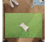 Odot Felpudo Entrada Casa, Alfombrilla de Lufa de PVC, Gato de Pastizales Felpudo Exterior Suciedad, Alfombra Antideslizante Lavable, Alfombra Entrada para Pasillo, Cocina, Balcón (Verde 2,80x120cm)
