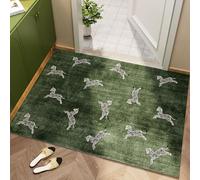 Odot Paillasson Exterieur Entree, Tapis Entree Interieur en Luffa PVC Lavable, Imprimé Animal Vert Tapis Interieur Attrape-Poussière Antidérapant, Paillasson pour Porte Entrée (Verde 1,60x90cm)