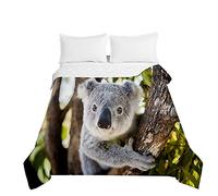 Odot Patrón de 3D Microfibra Colcha Bouti Cubrecama Multiusos para Cama de Matrimonio, Lavable Acolchada Edredón Ligero Manta para Todas Las Estaciones (200x230cm,Koala de la Selva A)