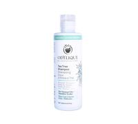 Odylique Champú orgánico de árbol de té de 200 ml, para cuero cabelludo con picazón, vegano, certificado orgánico y 100% natural, sin sulfatos y sin silicona, sin sal